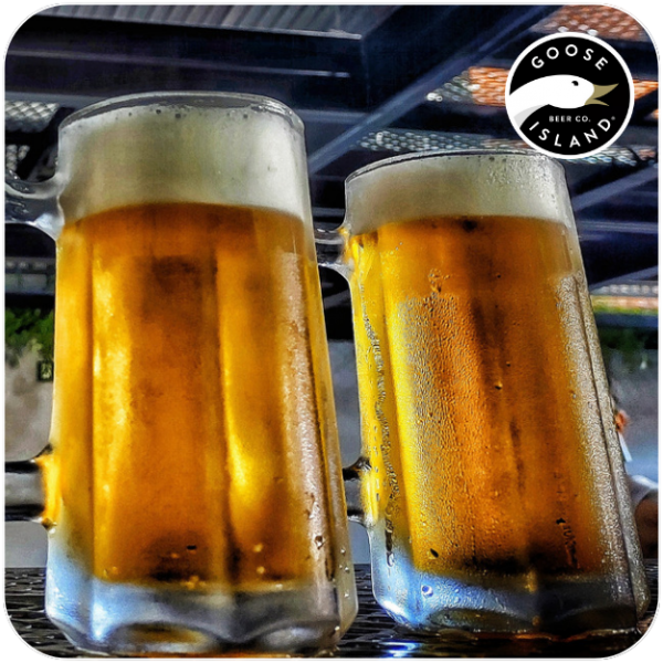 CHOPP HOP LAGER
